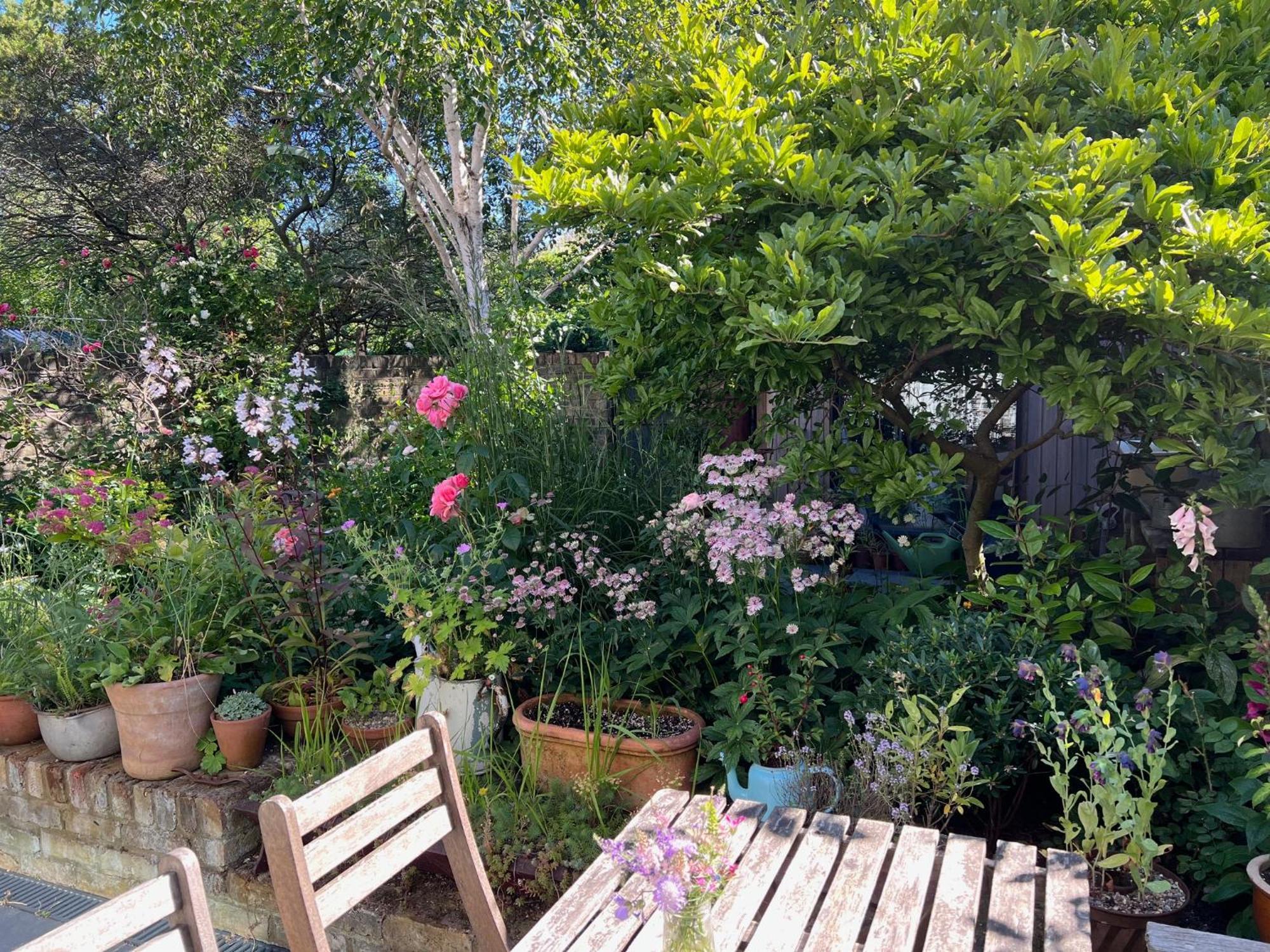 Bright And Elegant 2 Bedroom Flat, Near Notting Hill لندن المظهر الخارجي الصورة