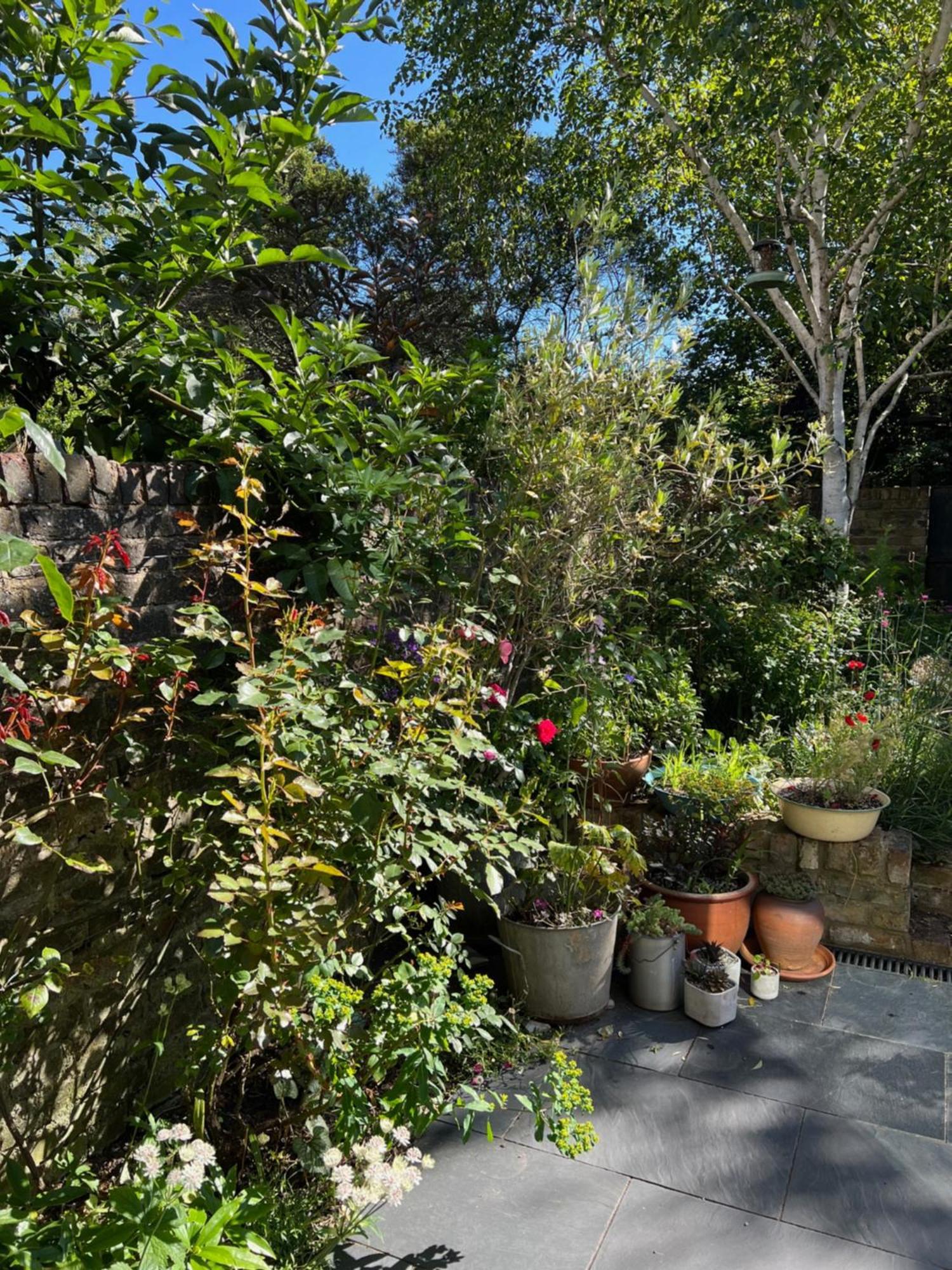 Bright And Elegant 2 Bedroom Flat, Near Notting Hill لندن المظهر الخارجي الصورة